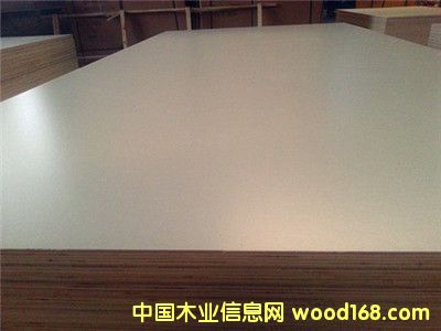 ����˹������Ԕ����B