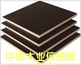 �R�ʸ�Ĥ���Ԕ����B