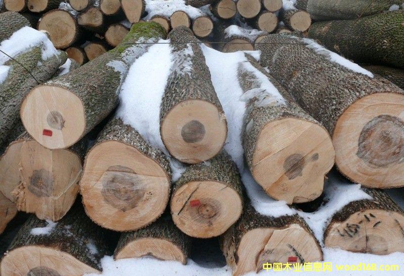 ��ľԭľ��Ԕ����B