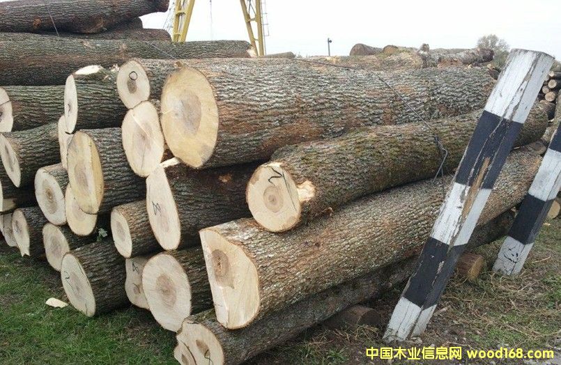 ��ľԭľ��Ԕ����B