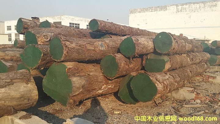 ��ľԭľ��Ԕ����B