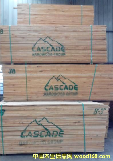 赤楊木的詳細介紹