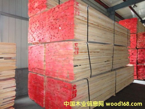 水曲柳的詳細介紹