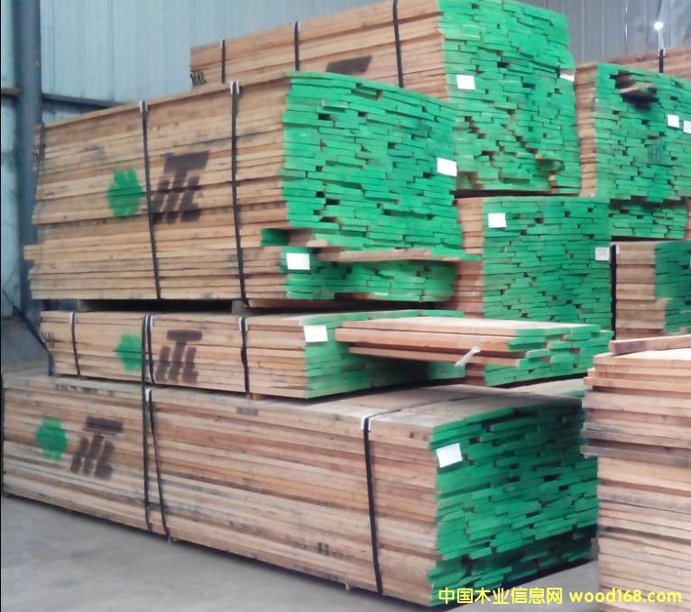 紅橡木的詳細介紹