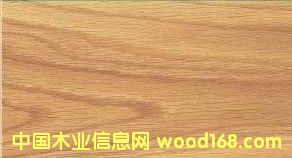 白橡木的詳細介紹