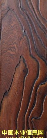 ɭ�����ذ��Ԕ����B