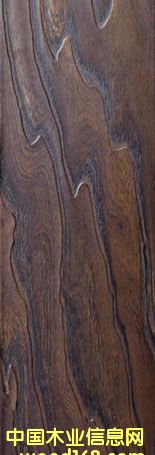 ɭ�����ذ��Ԕ����B