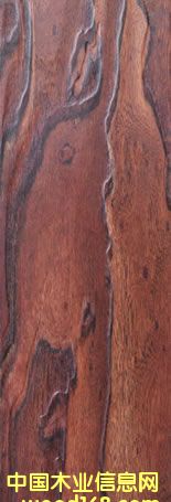 ɭ�����ذ��Ԕ����B