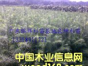 �c���鿴�������N����ɼ��Ŵ�DƬ