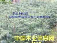 �c���鿴�������N����ɼ��Ŵ�DƬ