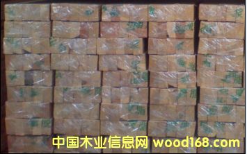 龍骨的詳細介紹