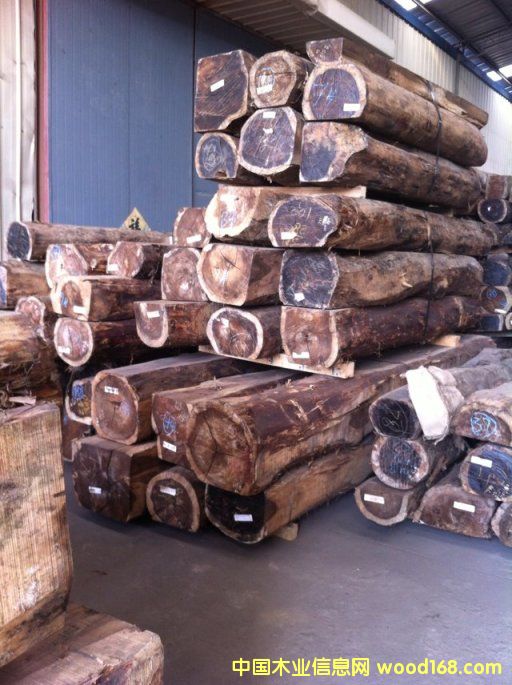 �c���鿴�tľԭľ�Ŵ�DƬ