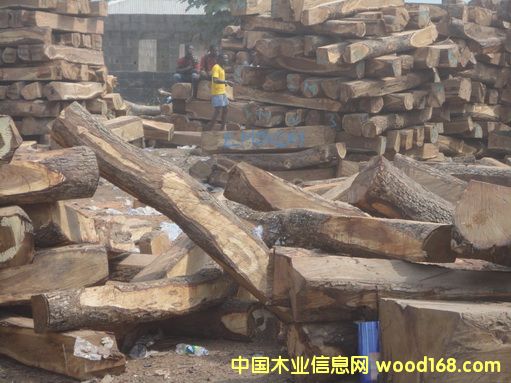 �����S�����Ԕ����B