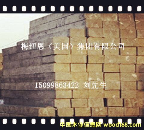 ����ľ܉����Ԕ����B