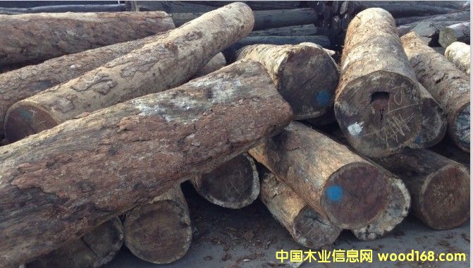 �ڶ���ľchechem��Ԕ����B