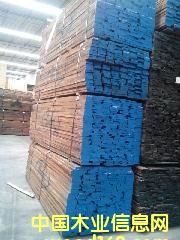 �����ں��ҵ�Ԕ����B