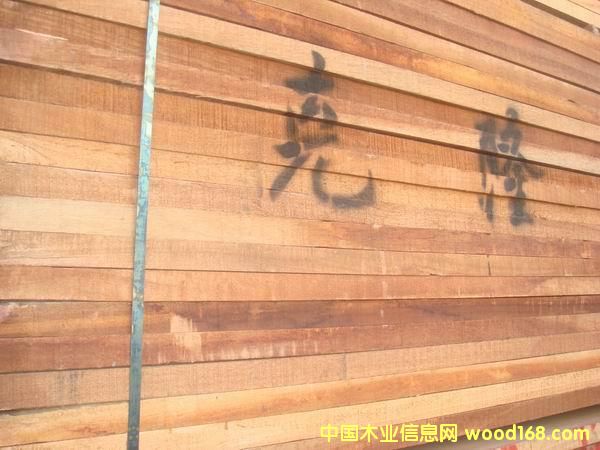 ��¡ľ�����X��