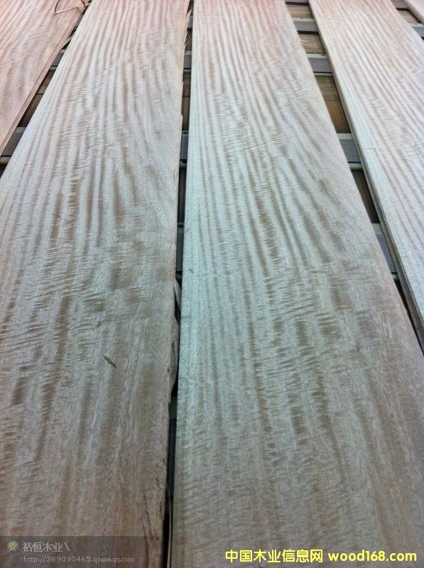 鐵椿影的詳細介紹