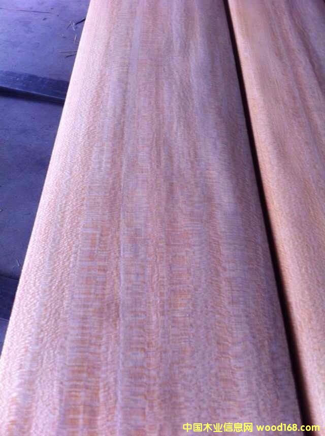 �S��˹��Ԕ����B