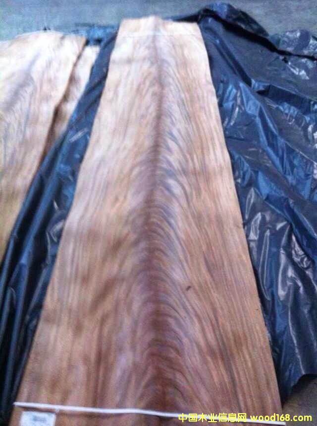 樹叉的詳細介紹