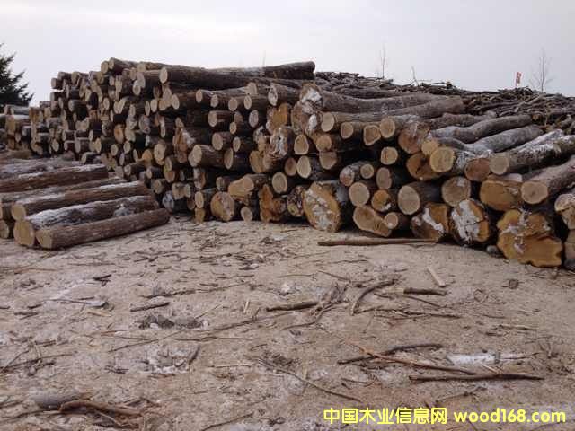 �ľԭľ��Ԕ����B