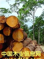 �һ��ĵ�Ԕ����B