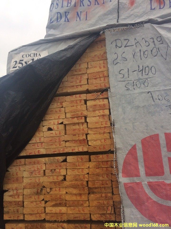 樟子松的詳細介紹