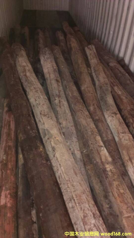 �t��֦��Ԕ����B