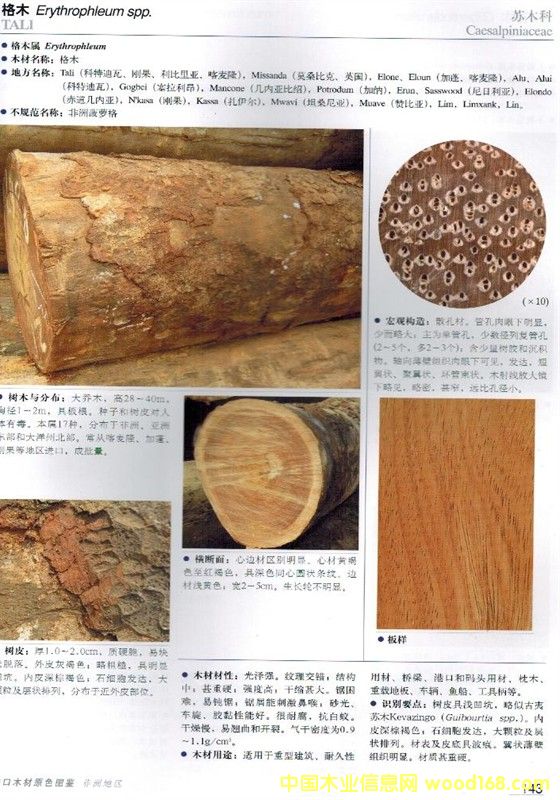 ������Ԕ����B