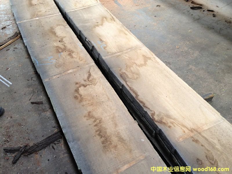 �W�޼t����