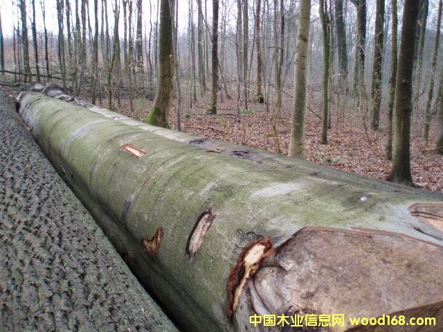 �W�ޙ�ľ���м��e