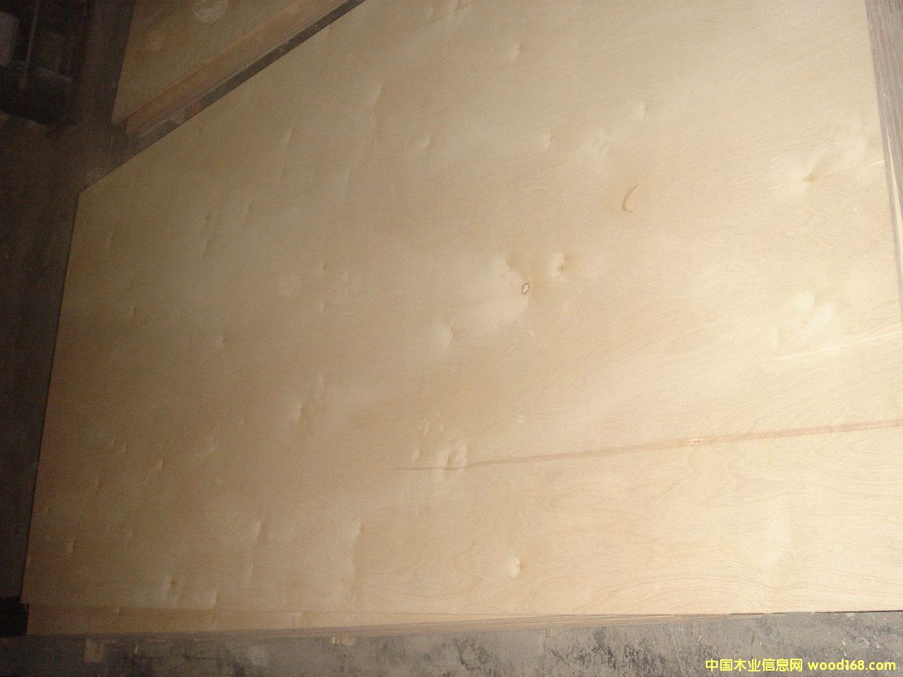 ��ľ�z�ϰ�