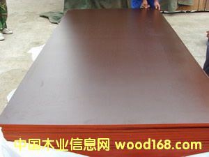 ������Ĥ��