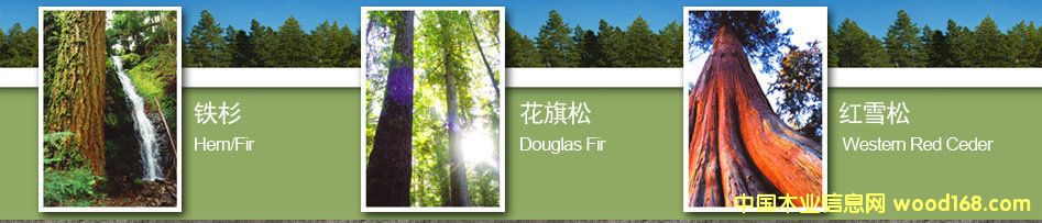 ���ô��Fɼ����-�Ϻ���ľ��(sh��)�I(y��)