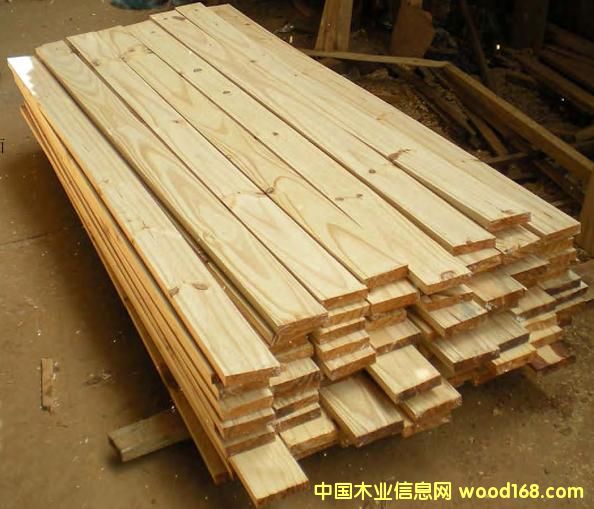 ��������ľ��Ԕ����B