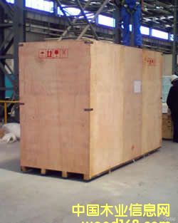 �Ϻ��h���A��悰��bľ��ľ�бP