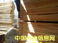 �ח�ľ��ĵ�Ԕ��(x��)��B