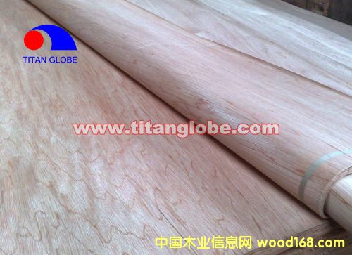 Hardwood Veneer -  Titan Globe��Ԕ����B