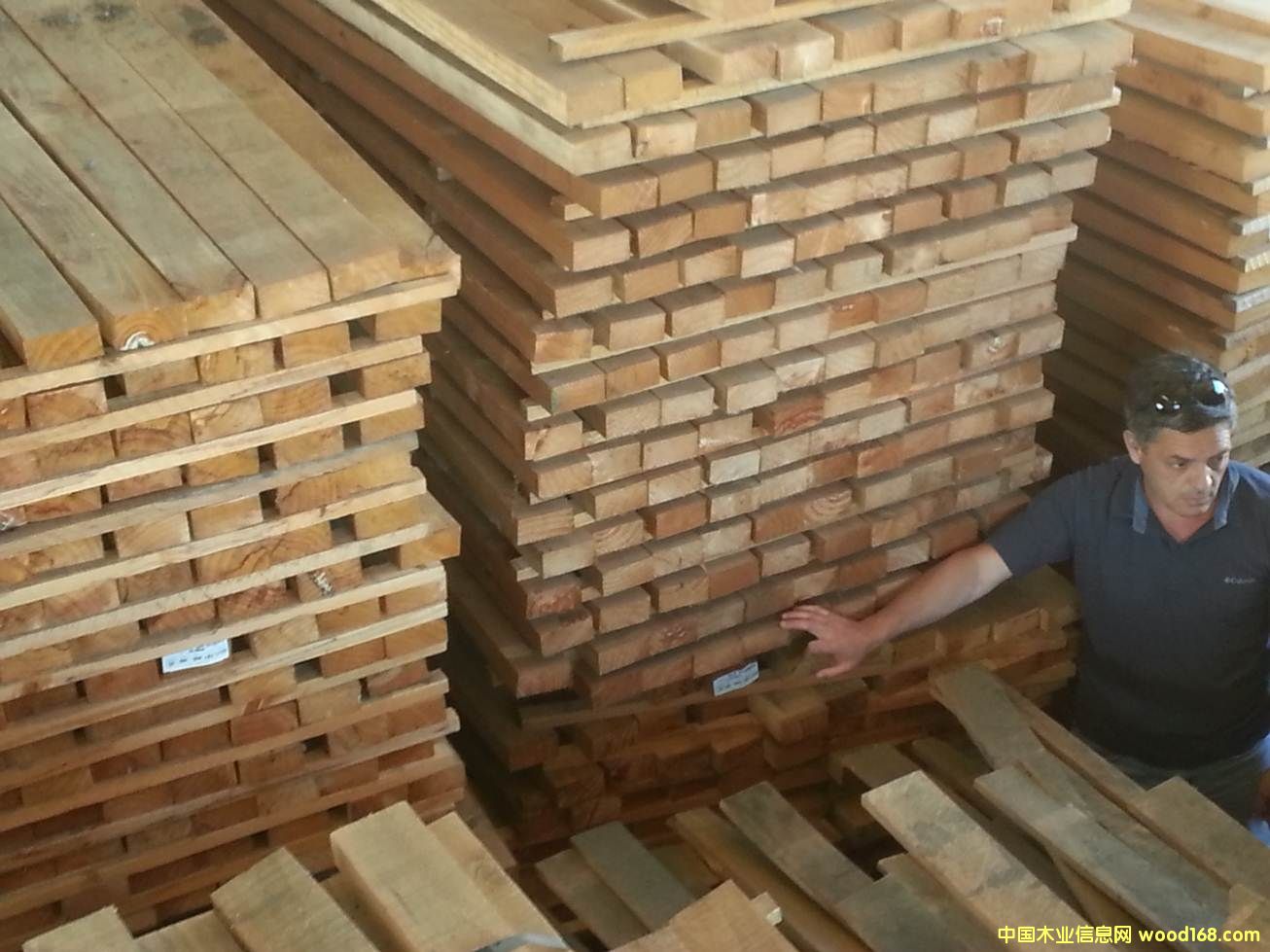 ݗ����1��Ԕ��(x��)��B