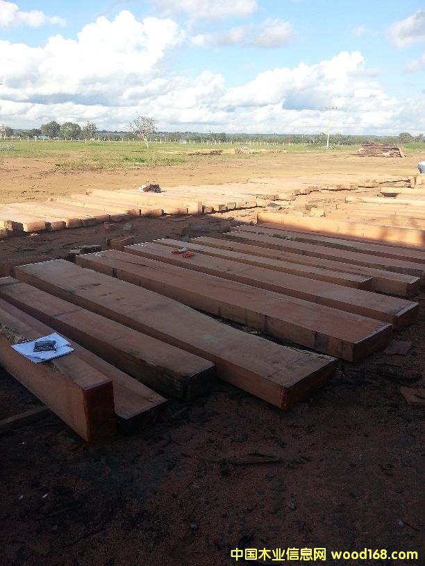 ���������Ԕ����B