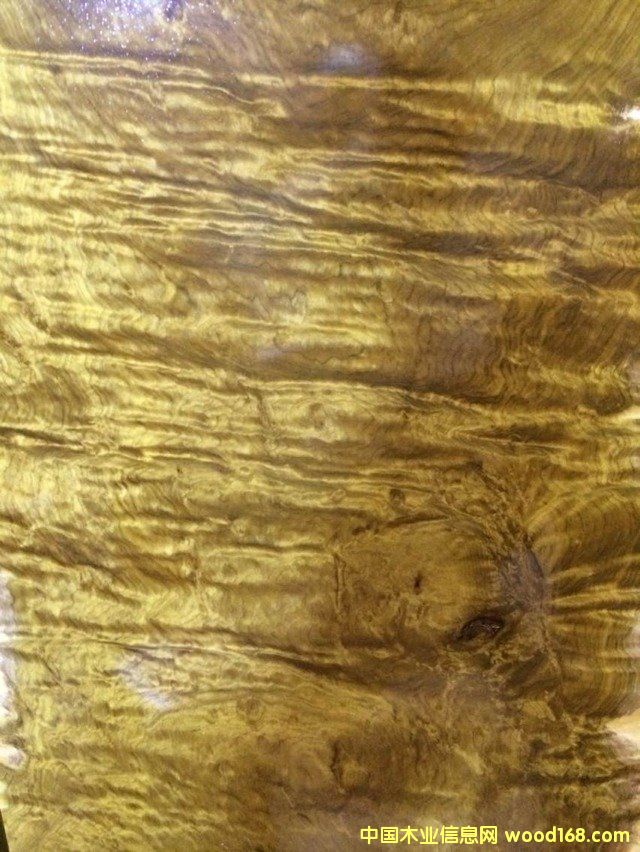 ��z骼Ҿ������l��Ԕ����B