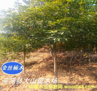 [��] С�~�E���