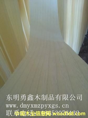 ͩľƤ��Ԕ����B