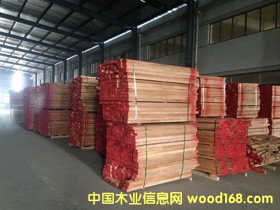 櫸木的詳細介紹