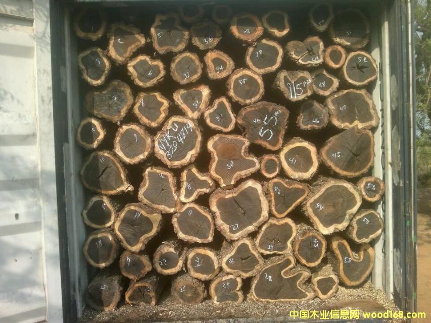 �Ϲ�̴����ľ