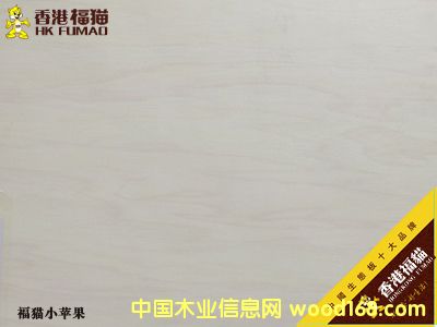 ��۸�؈С�O����Ԕ����B