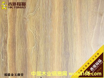 ��۸�؈����M��1��Ԕ����B