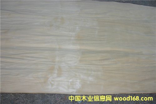 ��ľƤ�ӵ�Ԕ����B