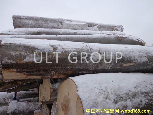 �����m��ľ��Ԕ��(x��)��B