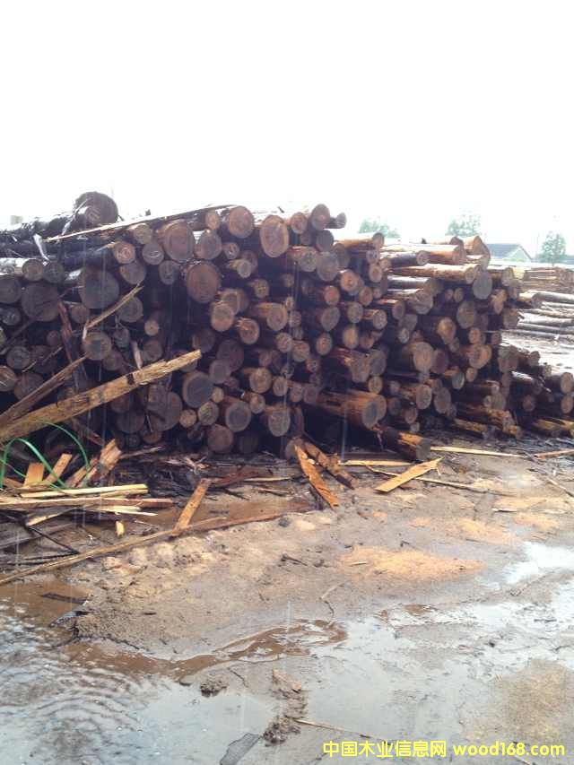 [��] �ձ�ɼԭľ ��ɼľ ��ɼľ һ��؛Դ�M��